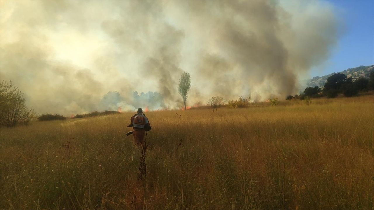 Bingöl'ün Genç ilçesinde orman yangını kontrol altına alındı