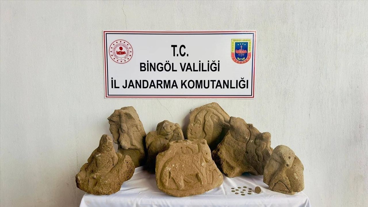 Bingöl'ün Solhan ilçesinde 17 figür işlemeli kaya parçası ve 12 sikke ele geçirildi