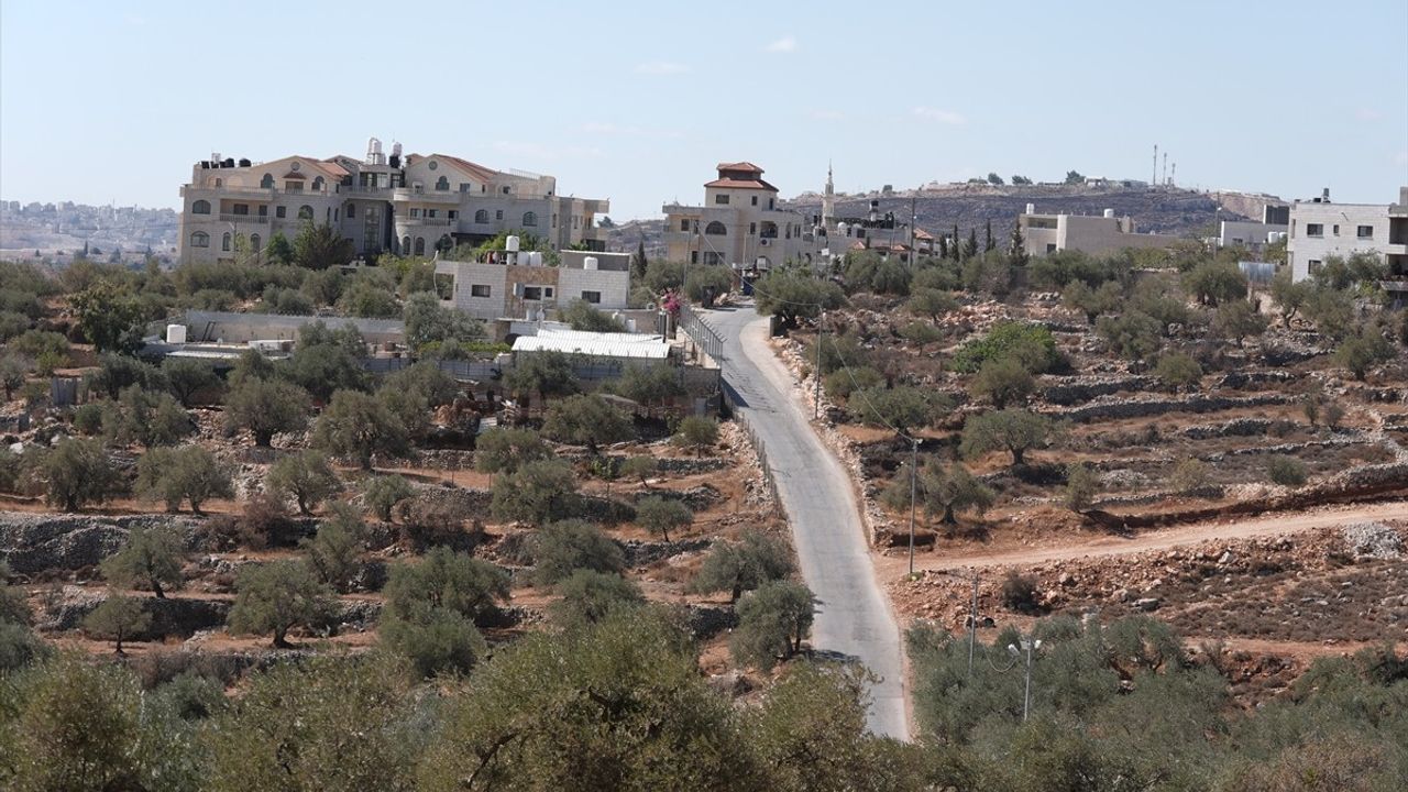 Burka'da zeytin hasadı korku içinde: Filistin topraklarını gasbeden İsraillilerin saldırıları üretimi düşürdü