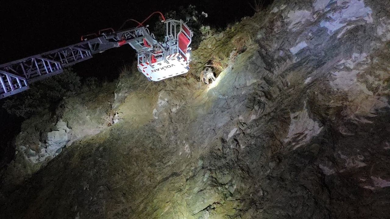 Bursa İnegöl'de Kayalıkta Mahsur Kalan Köpek İtfaiye Ekiplerince Halatla Kurtarıldı