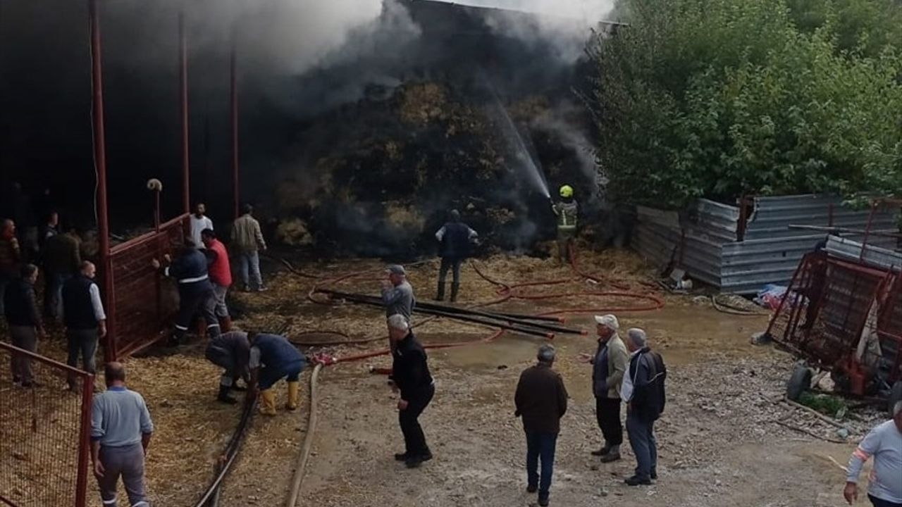 Bursa Nilüfer'de ahır yangını: 170 küçükbaş telef oldu, 3 bin balya ot zarar gördü