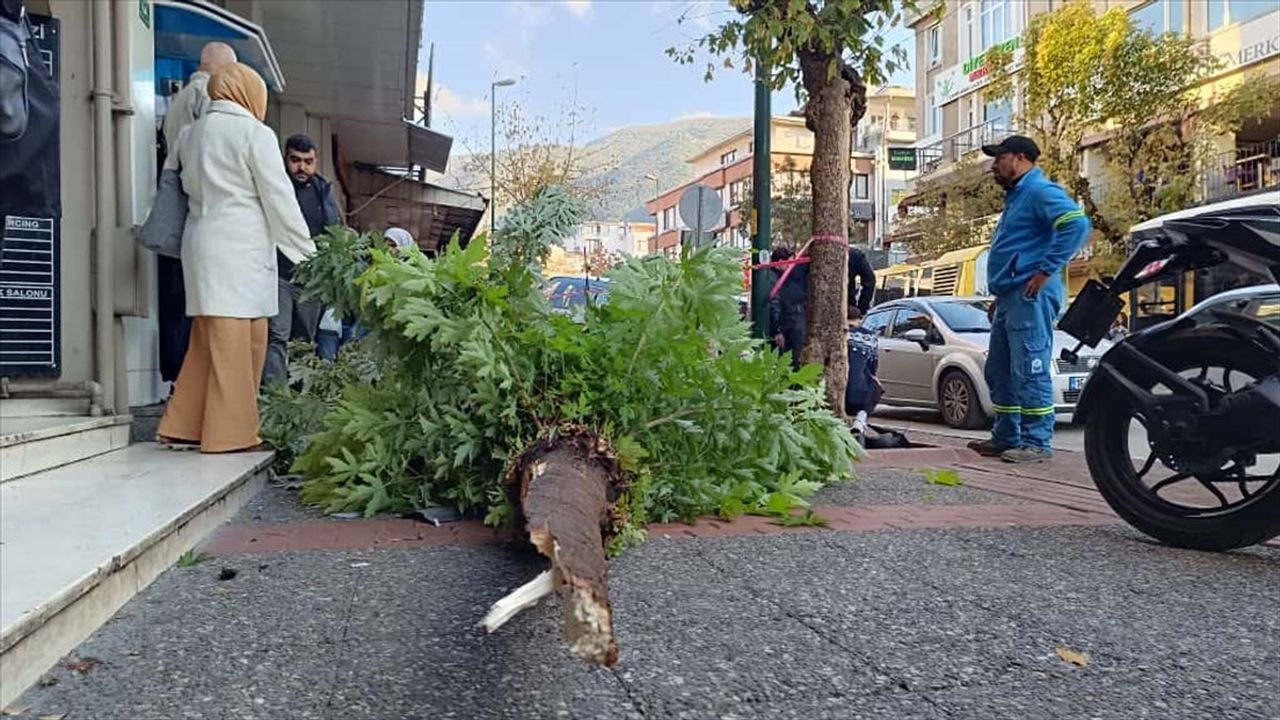 Bursa Osmangazi'de otomobilin yaya çarpıp kaldırıma çıkarak ağacı devirdiği kaza güvenlik kamerasında