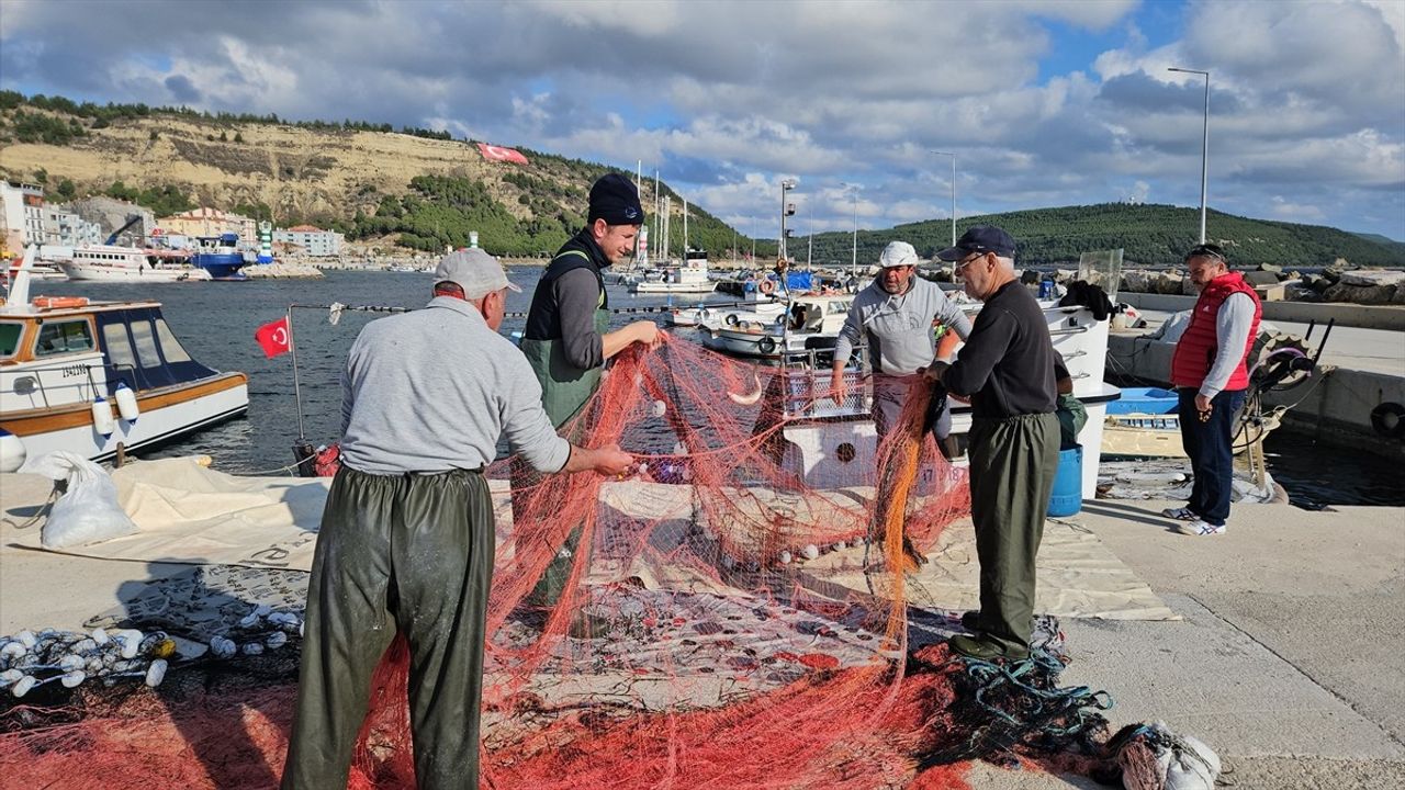 Çanakkaleli balıkçının lüfer ağına 1000 palamut takıldı