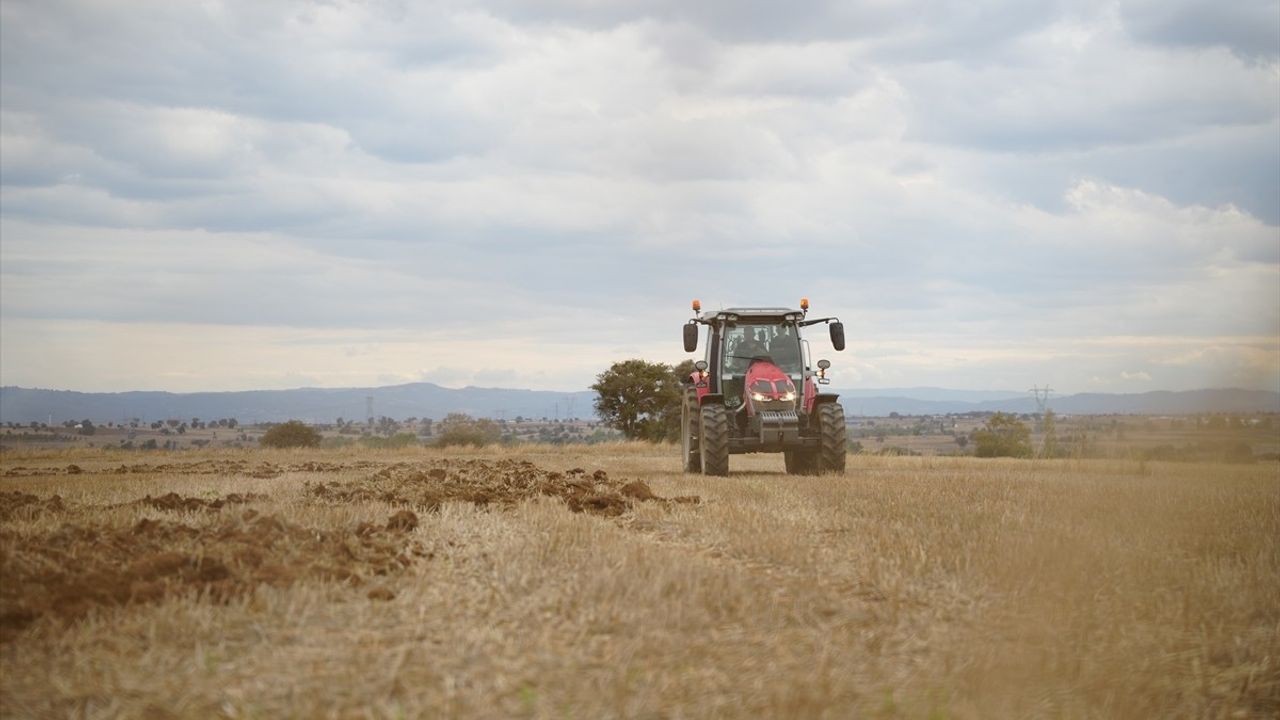 Çanakkaleli çiftçi Hüseyin Savaş tarlasına traktörle "Özgür Filistin" yazdı