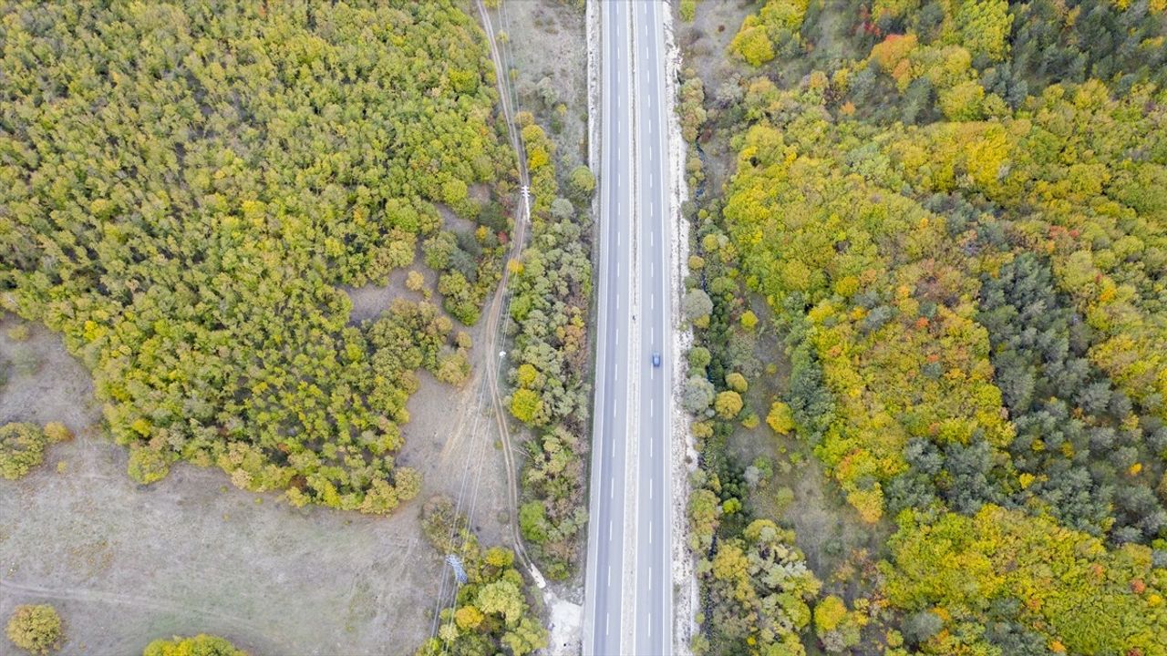 D-100'ün Bolu kesiminde sürücüler sonbahar renkleri eşliğinde yolculuk yapıyor