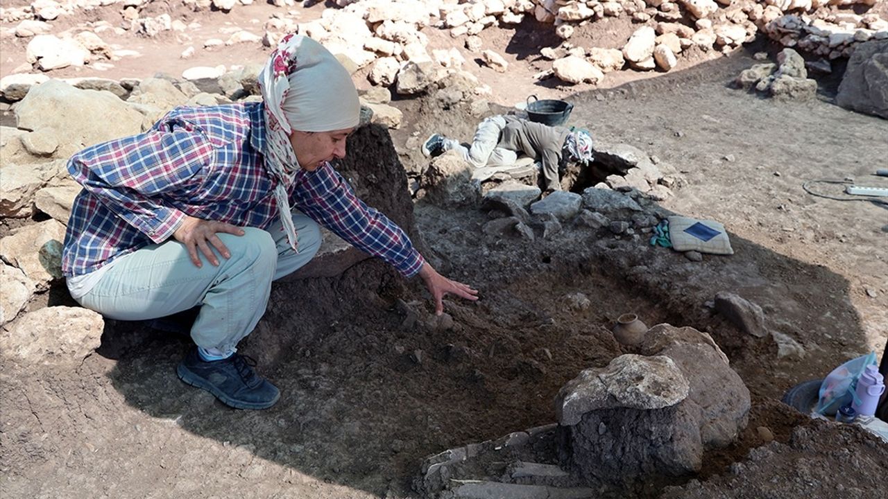 Diyarbakır Çayönü Tepesi'nde 8 mezar gün yüzüne çıkarıldı