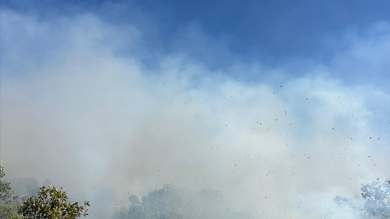 Diyarbakır'ın Dicle kırsalında örtü yangınına müdahale sürüyor