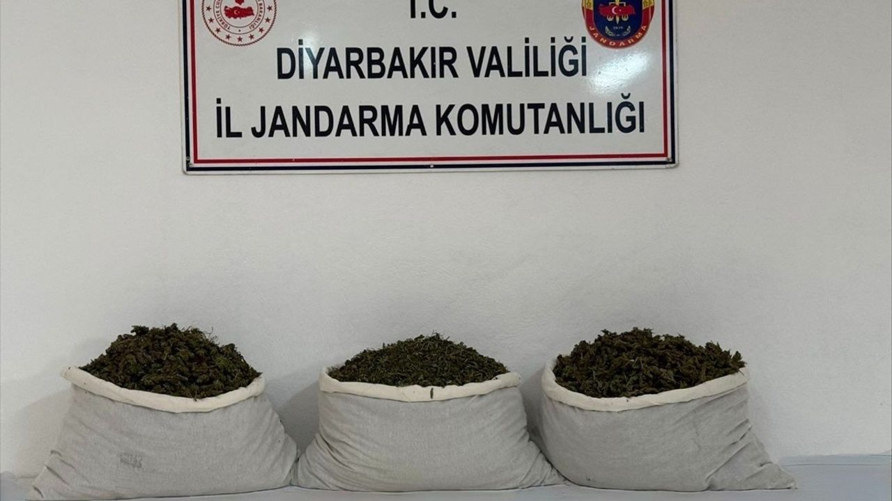 Diyarbakır Lice'de Jandarma Operasyonunda 15 kilogram skunk ele geçirildi