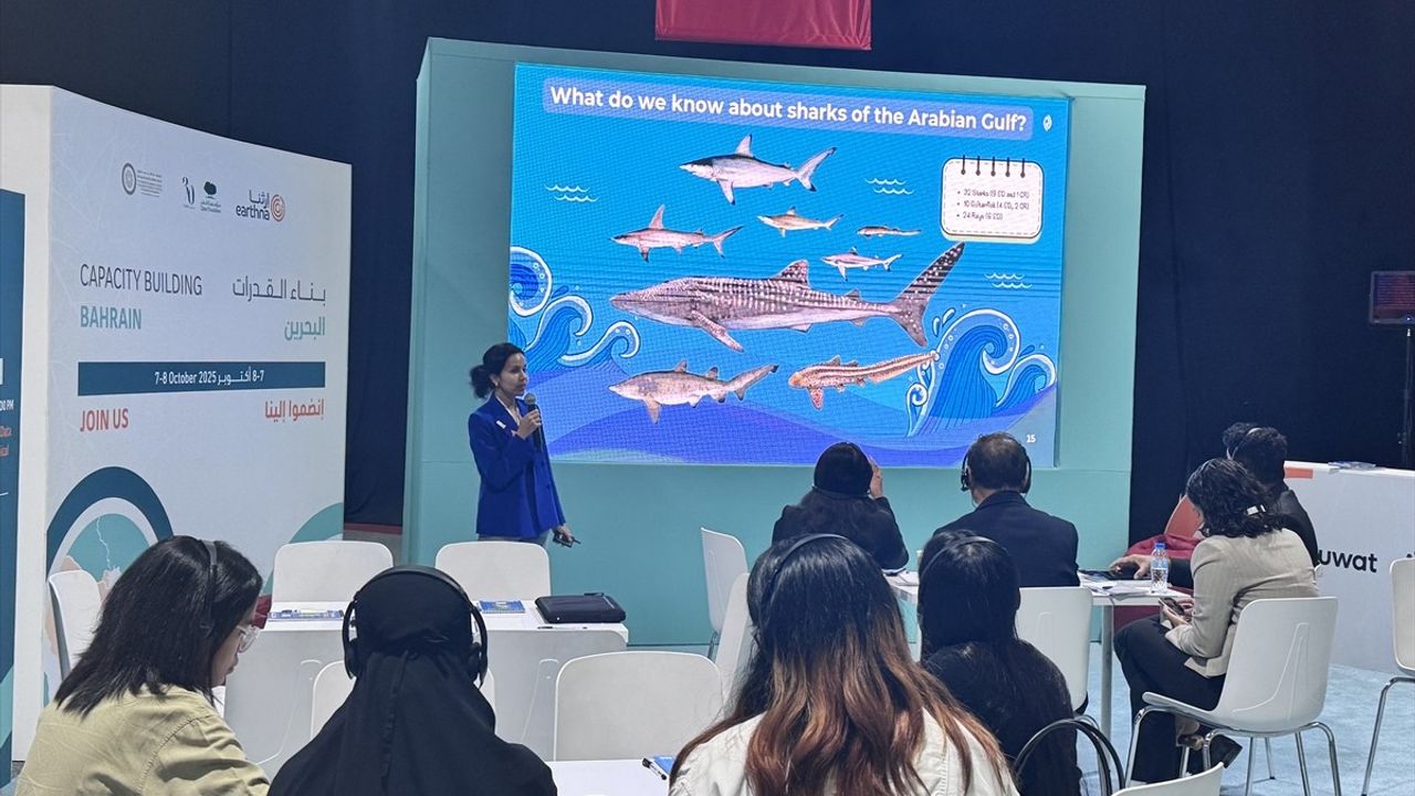 Doha'da 5. Katar Ulusal İklim Değişikliği Diyaloğu: Körfez İşbirliği ve Yeşil Finansman Öne Çıktı