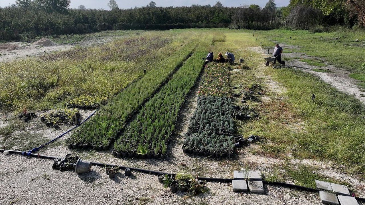 Düzce'de 'Tarım Akademisi' ile 200 dönüm atıl arazi tarıma kazandırıldı, 100 kişiye sertifika ve istihdam