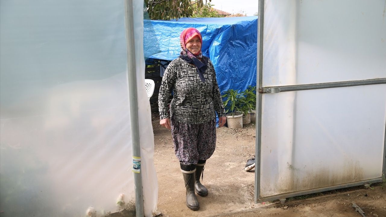 Edirneli Şirin Uysal ikinci serasına kavuşuyor: Devlet destekli projeyle üretimini büyütüyor