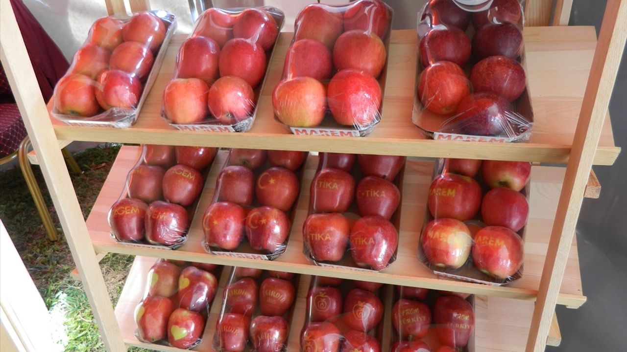 Eğirdir'de 'Sürdürülebilir Meyve-Bağ Fidancılığı Çalıştayı' gerçekleştirildi