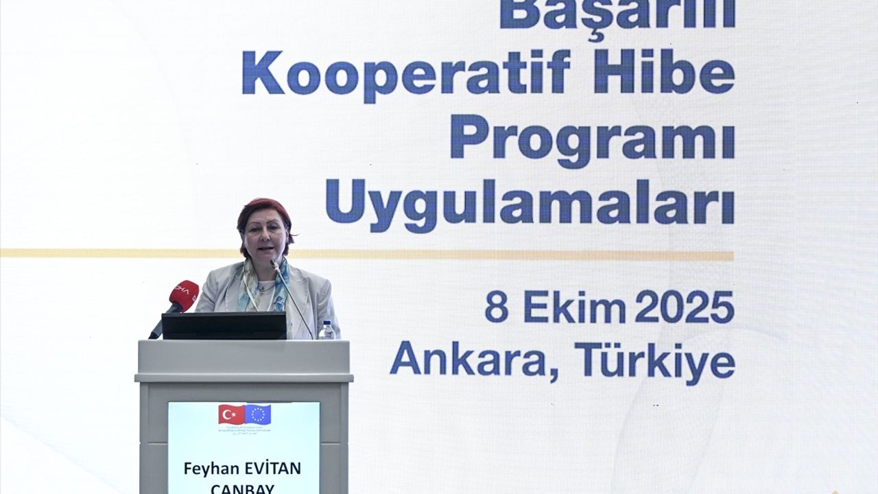 ENHANCER Projesi 50 Kooperatife Yaklaşık 8 Milyon Avro Destek Sağladı