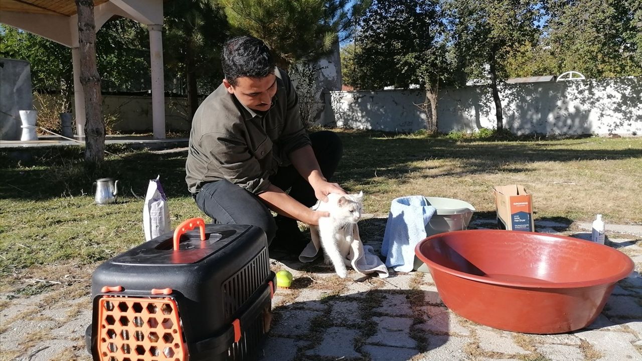 Erzurum Hınıs'ta İmam Yunus Çaykara, Cami Çevresindeki Kedilerin Bakımını Üstlendi