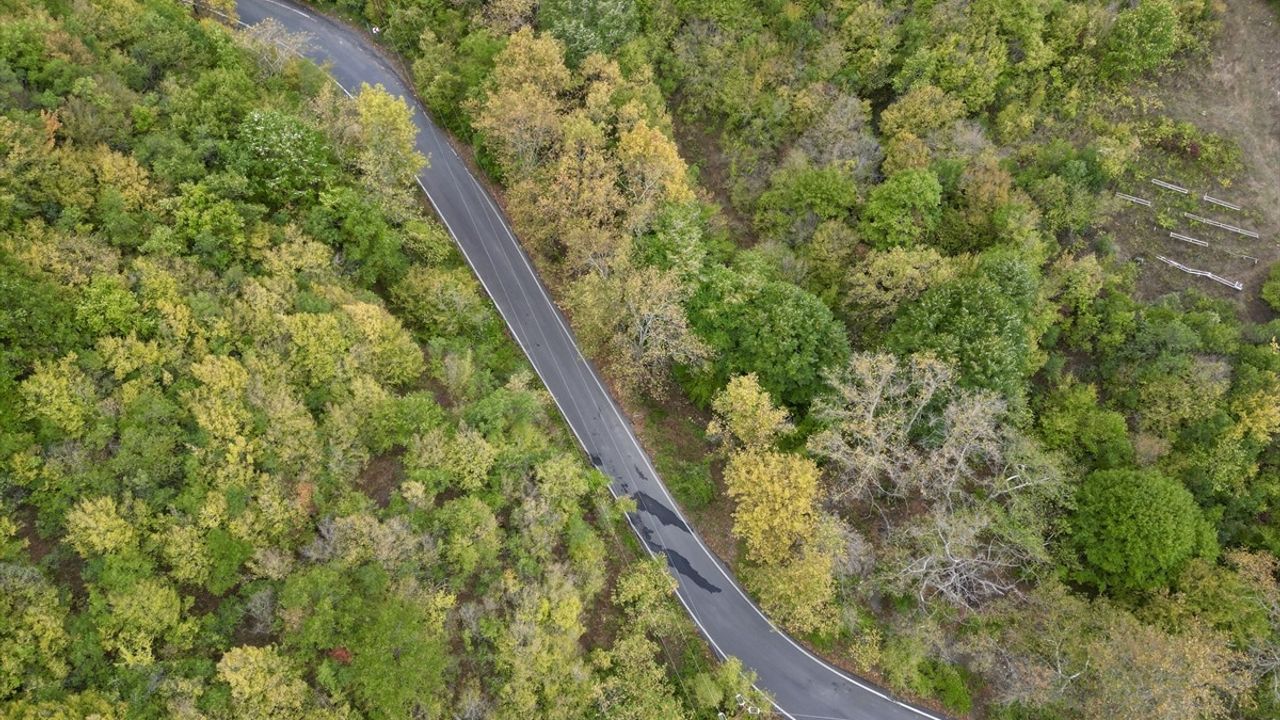 Ganos Dağı eteklerinde sonbahar renkleri: Uçmakdere ve Yeniköy ormanları renklendi