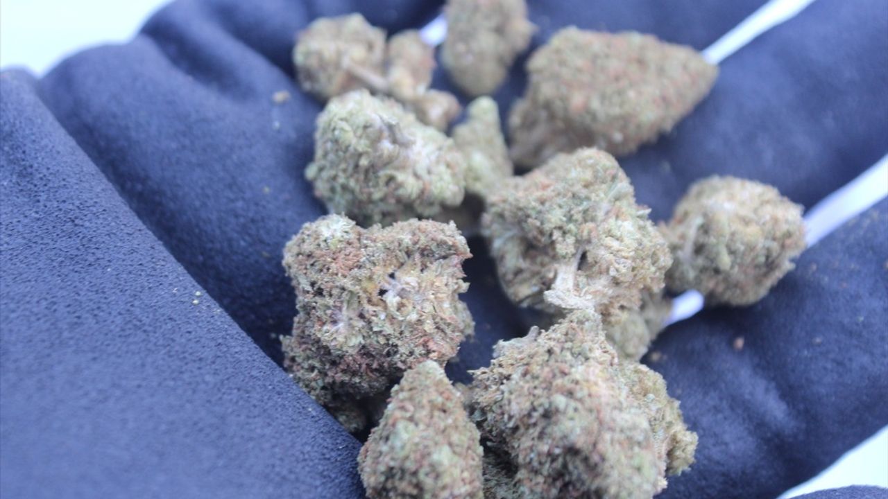 Gümrükler Muhafaza, Tekirdağ ve İpsala'da 1,3 Ton Uyuşturucu Ele Geçirdi