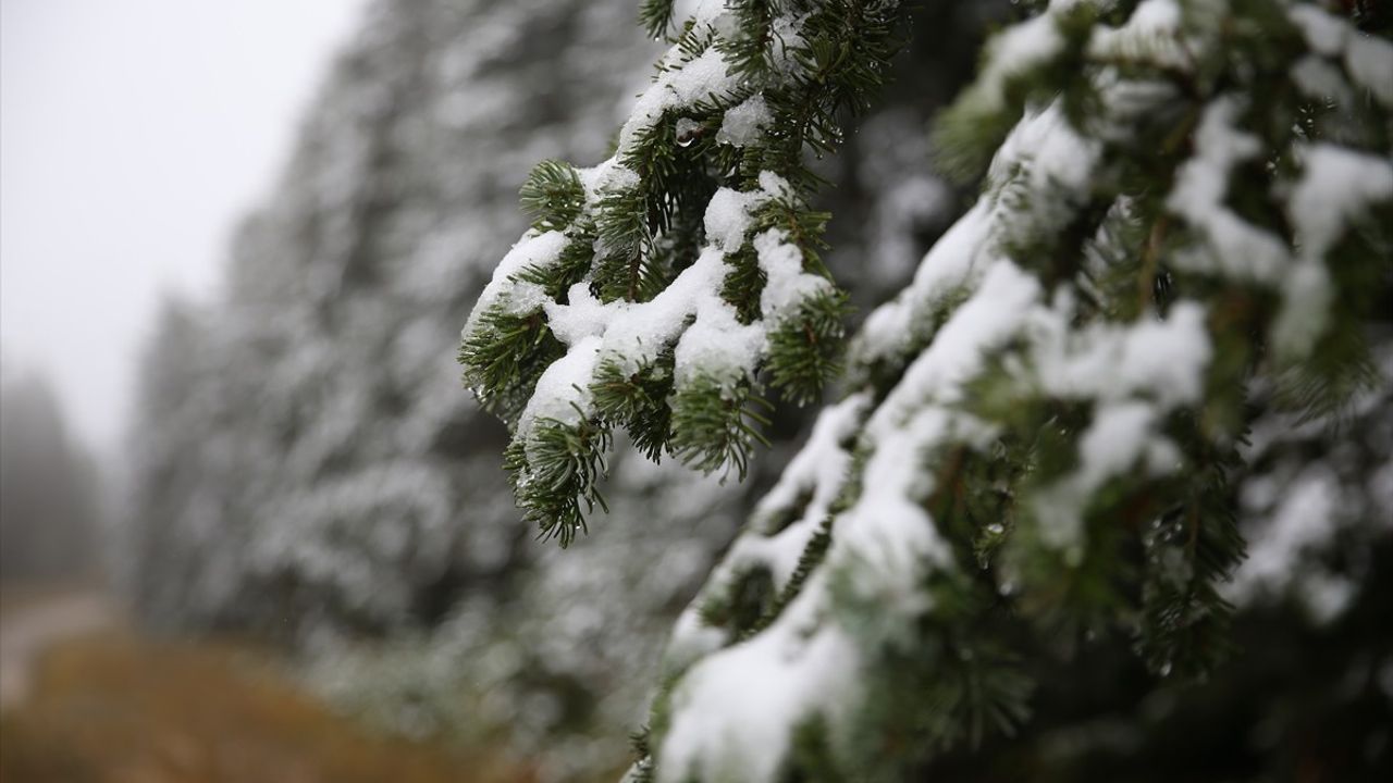 Ilgaz Dağı'nda kar ve sis etkili oldu