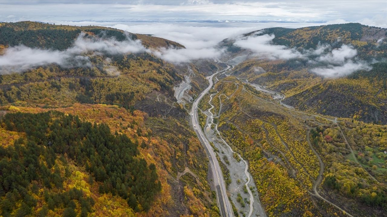 Ilgaz Dağı'nın Yüksek Kesimlerinde Sis ve Ara Sıra Yağmur Etkili Oldu
