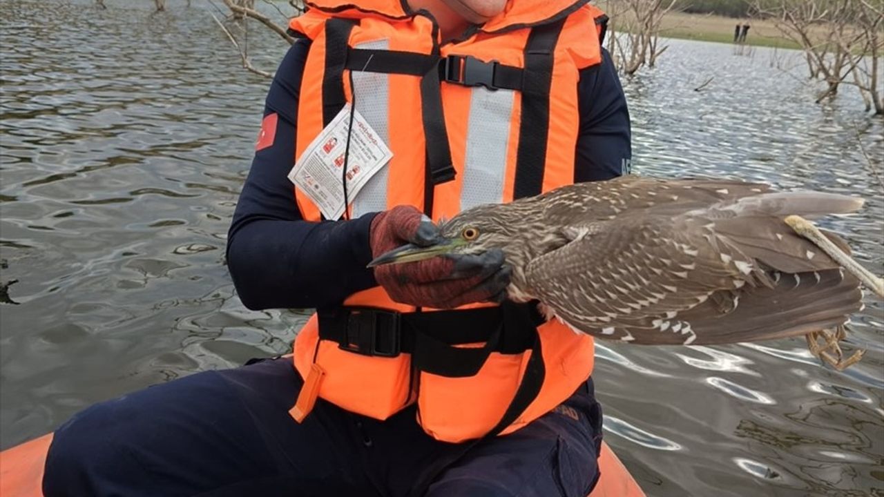 İnegöl'de misinaya takılan yabani kuş AFAD tarafından kurtarıldı
