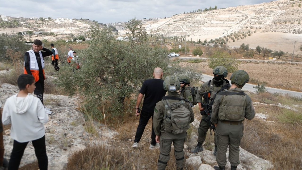 İsrailliler işgal altındaki Batı Şeria’da 3 aracı yaktı, yaklaşık 150 zeytin ağacını kökünden söktü