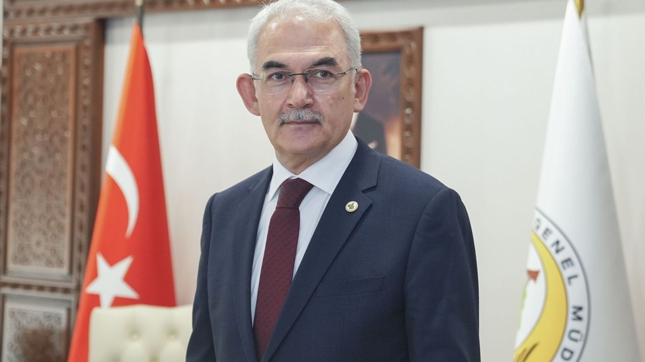 İstanbul Orman İnovasyon Haftası (IFIW) 20–25 Ekim'de dünya ormancılık uzmanlarını bir araya getiriyor