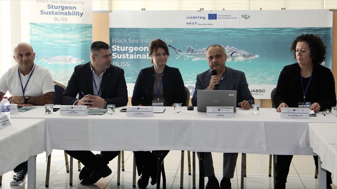 Karadeniz'de mersin balığı koruması için Türkiye, Bulgaristan, Ukrayna ve Romanya ortak proje başlattı