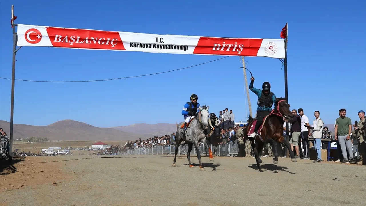 Karlıova Toklular'da Geleneksel At Yarışları: 70 Yarışmacı, Ödül ve Kültürel Gösteriler