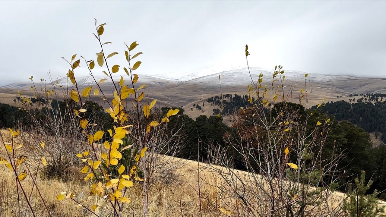 Kars Sarıkamış'ta yüksek kesimlere kar yağdı