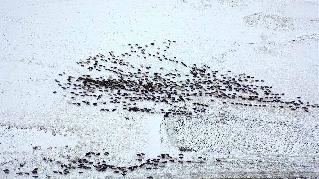 Kars'ta yayladan dönüş yapan göçerler kar yağışıyla karşılaştı