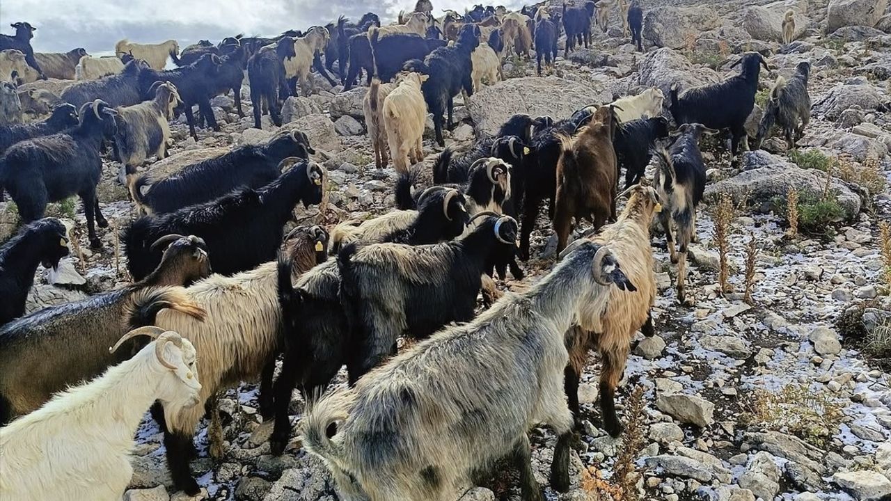 Kaş'ta yüksek kesimlere mevsimin ilk karı: Akdağ beyaza büründü