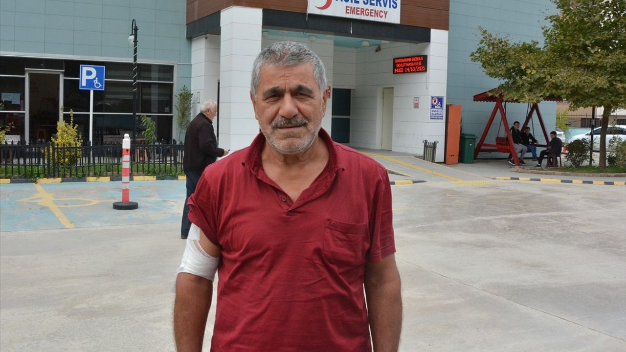 Kastamonu İnebolu'da kestane toplarken ayıdan kaçan çiftçi yaralandı