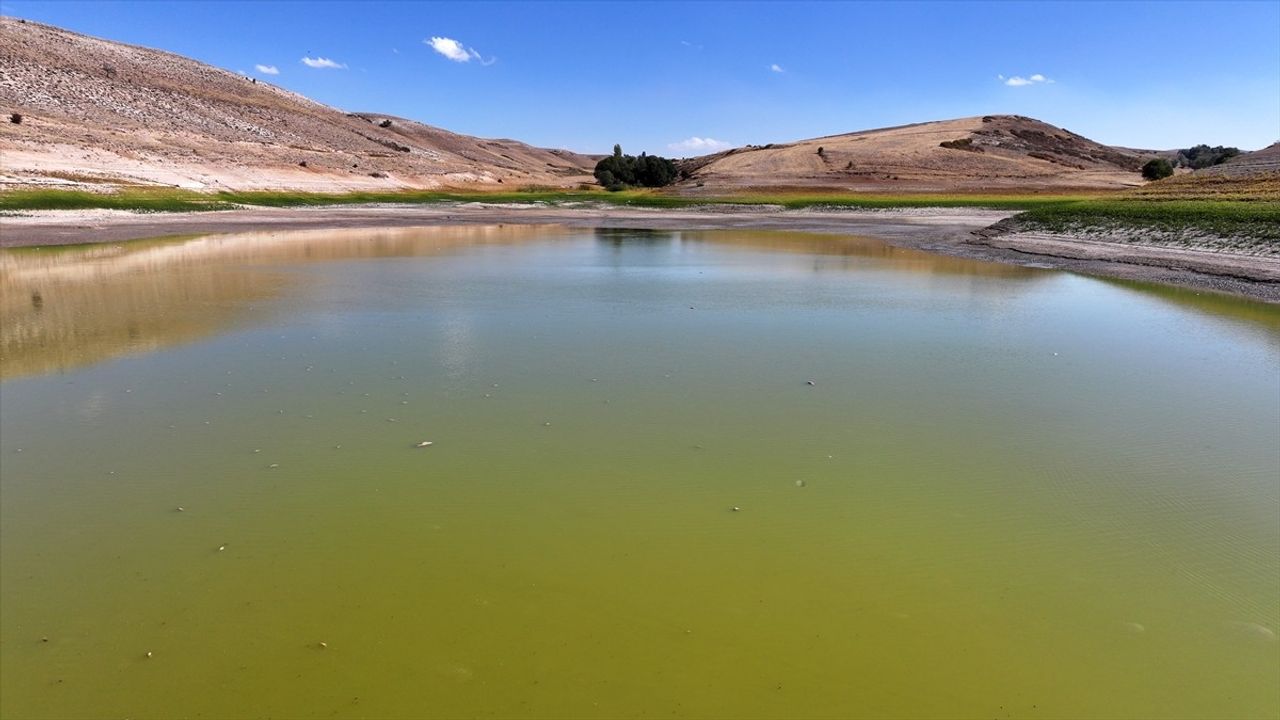 Kayseri'de Tozlu Göleti'nde su çekilmesi sonrası balık ölümleri