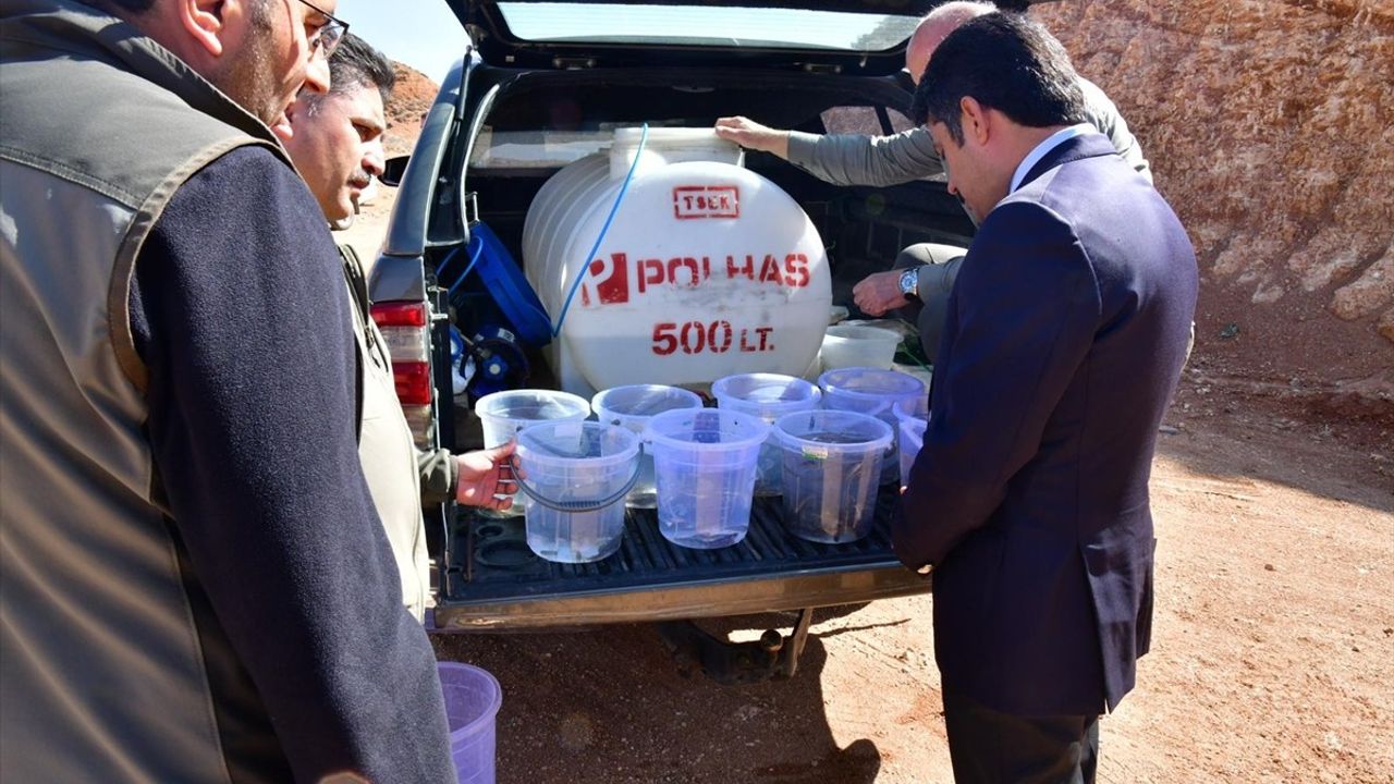 Kırşehir'de Aşıkpaşa Göleti'ne 3 bin kırmızı benekli alabalık bırakıldı