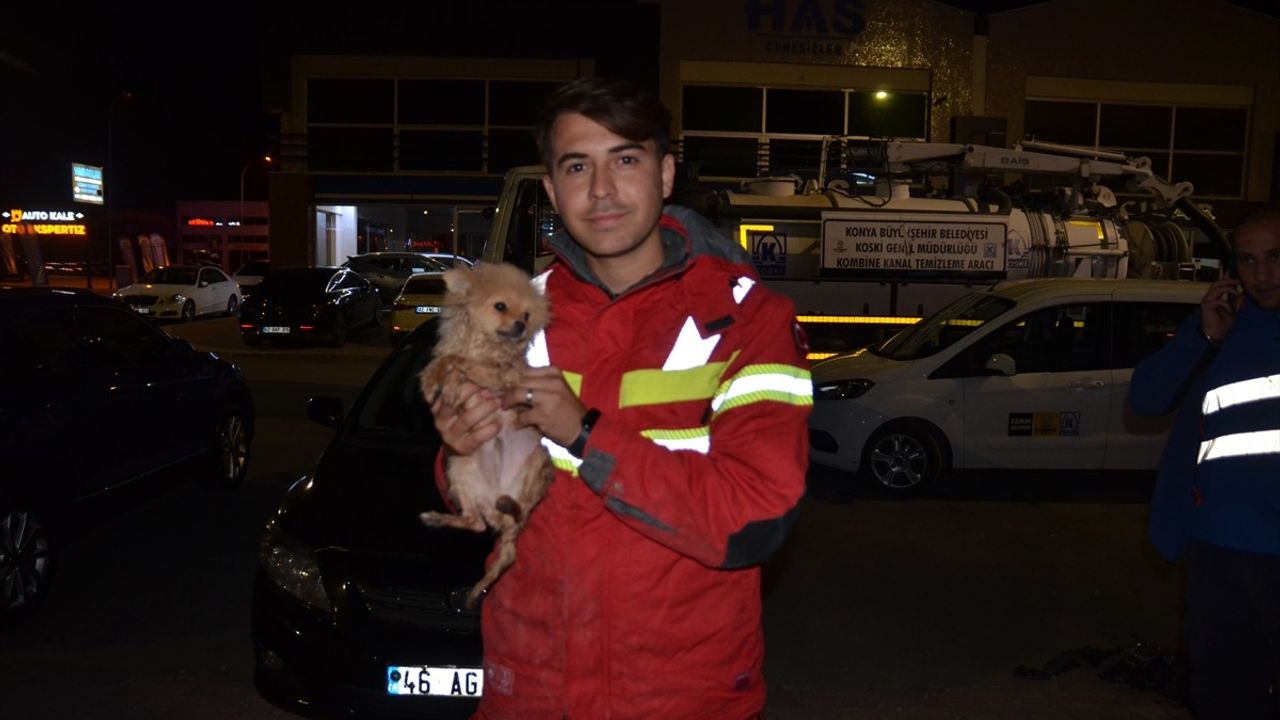 Konya'da kanalizasyon borusuna sıkışan köpek yavrusu itfaiyenin 6 saatlik müdahalesiyle kurtarıldı
