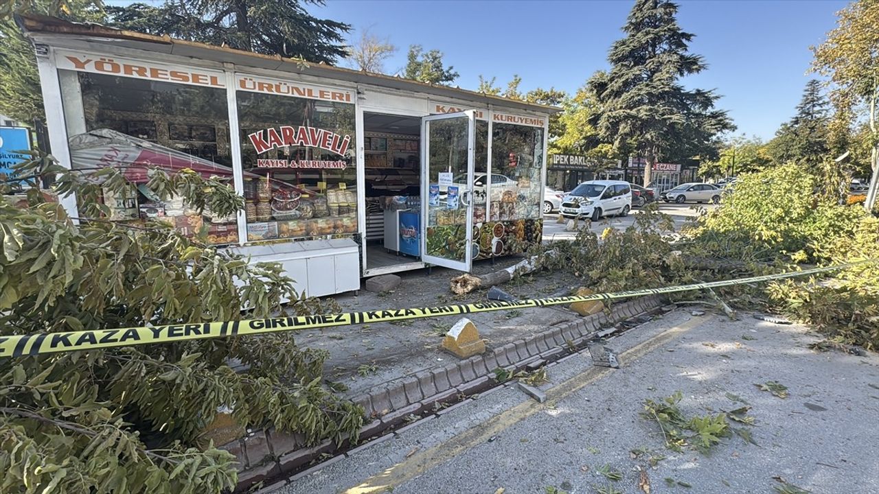Malatya'da freni arızalanan kamyon 7 konteyner iş yerine çarptı