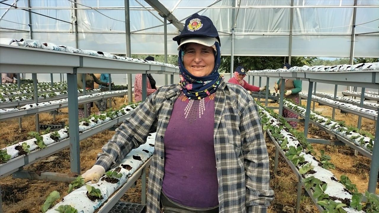 Manavgat'ta 15 Ekim Dünya Kadın Çiftçiler Günü'nde Seradaki Kadın Çiftçiler Ziyaret Edildi