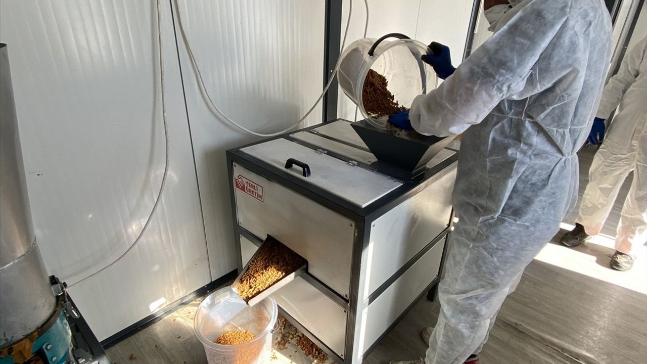 Melikgazi Belediyesi yemek artıklarını kedi ve köpekler için kuru mamaya dönüştürüyor