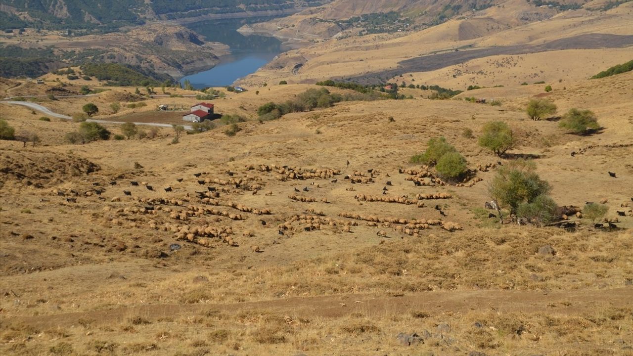 Muş'ta göçerlerin dönüşü başladı: Yaklaşık 5 aylık yayla sezonu sona erdi