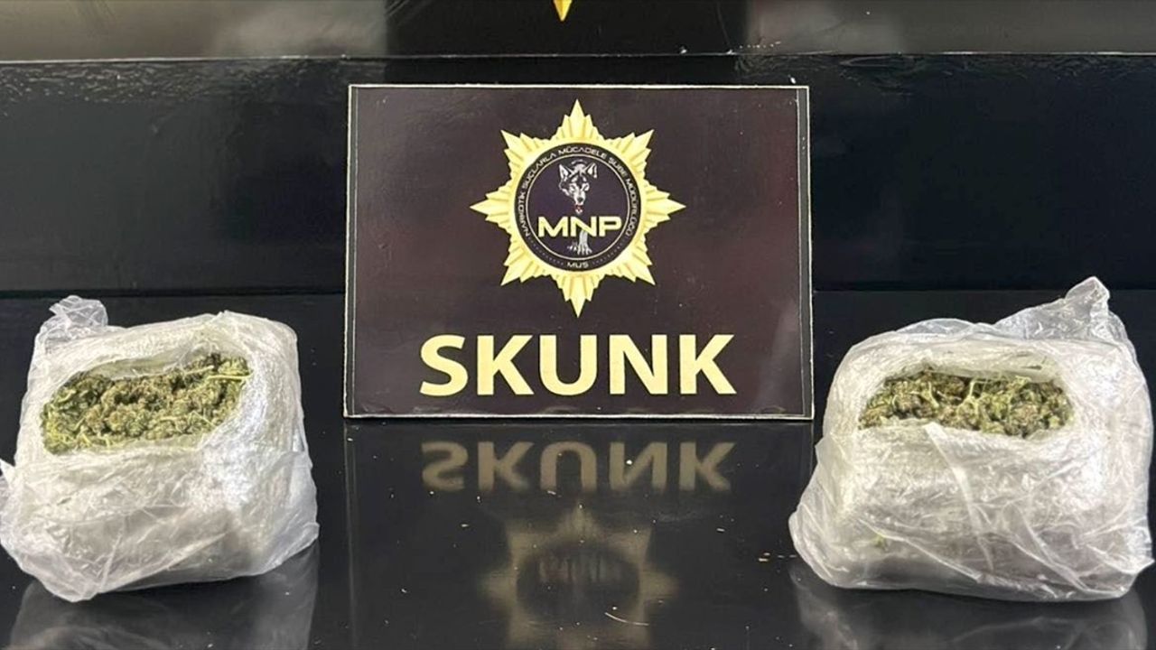 Muş'ta uyuşturucu operasyonu: 351 gram skunk ile yakalanan 2 şüpheli tutuklandı