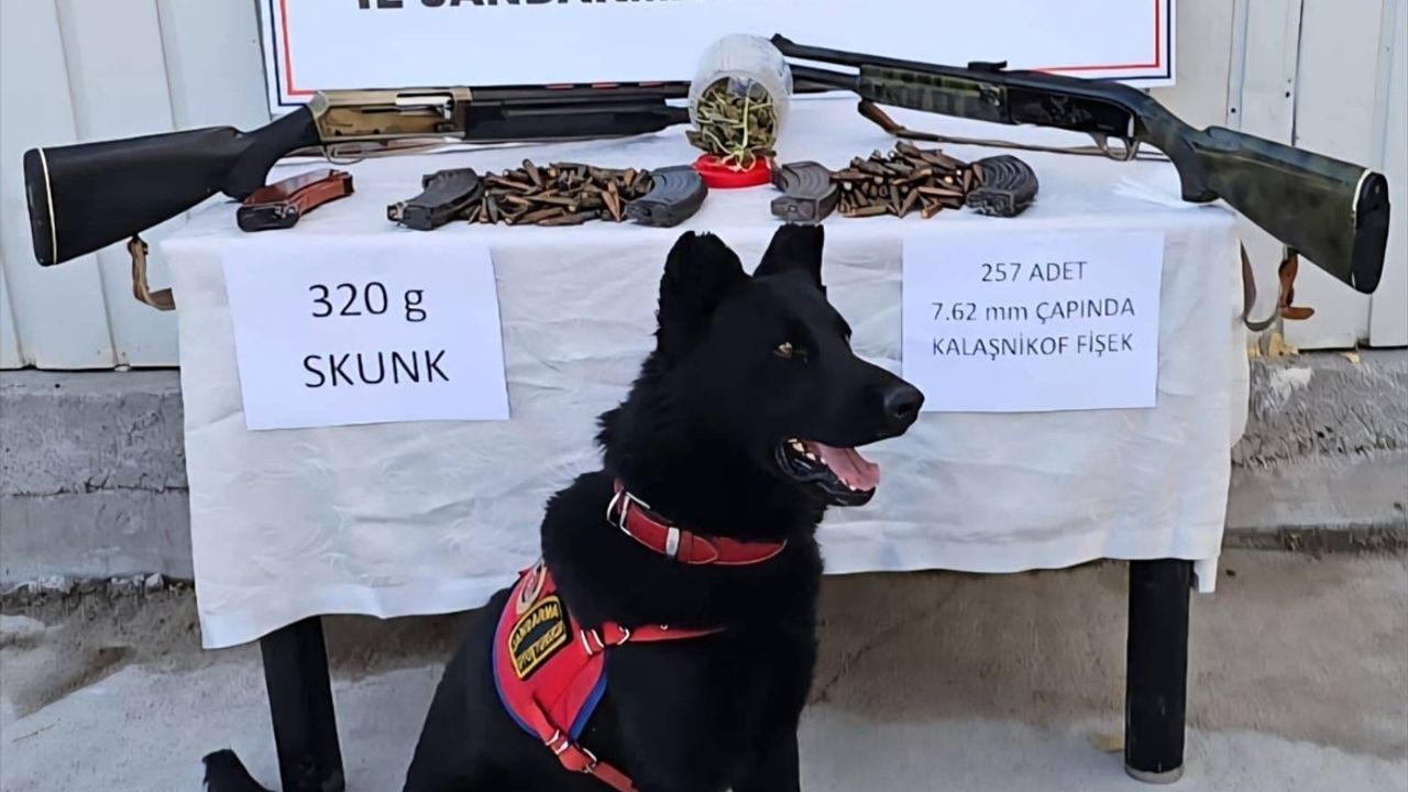 Muş Varto'da jandarma operasyonunda uyuşturucu, silah ve mühimmat ele geçirildi