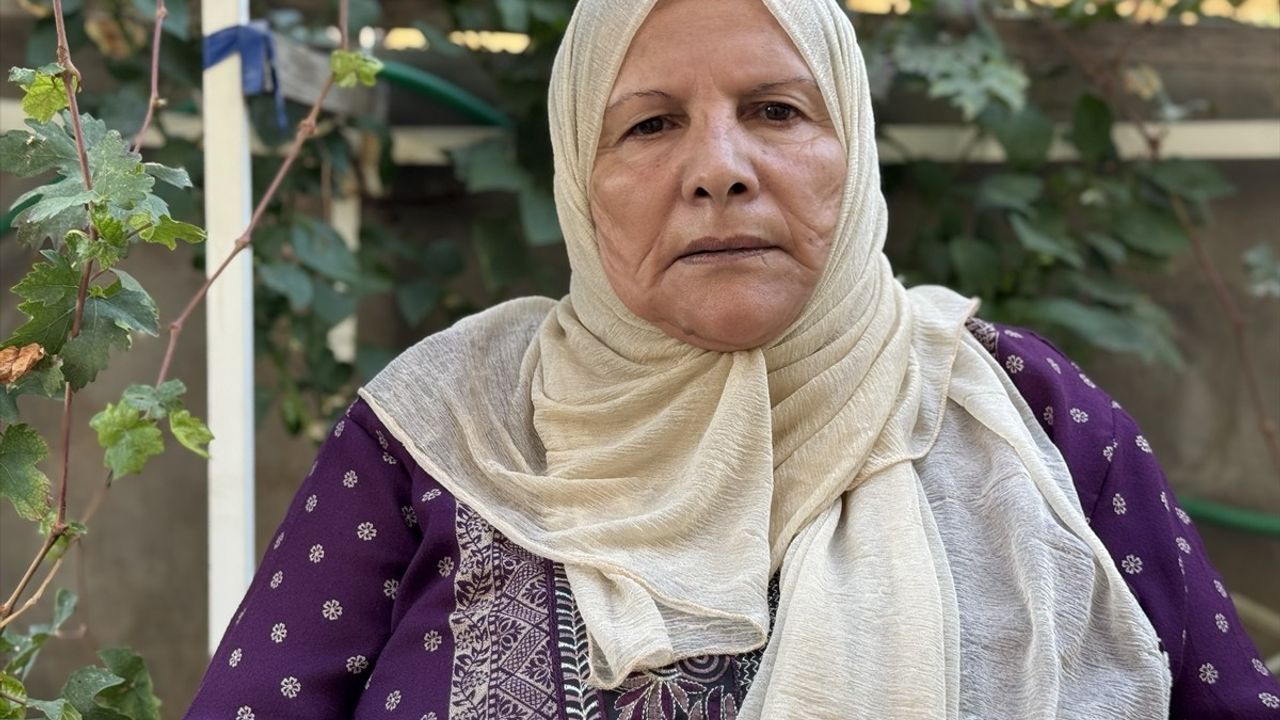 Nahhalin'de zeytin hasadı sırasında 70 yaşındaki Resmiye Şekarne ve damadı gözaltına alındı