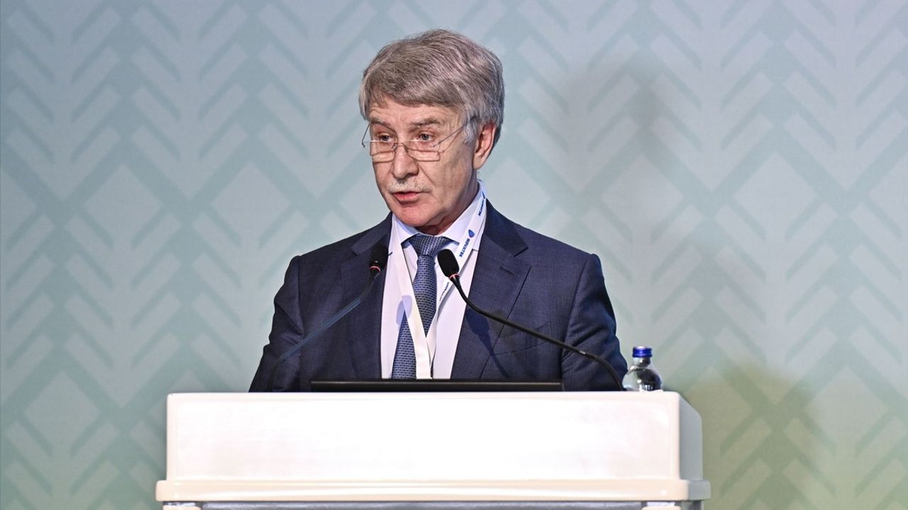 Novatek Başkanı Mihelson: Rus LNG'sini küresel pazardan dışlamak mümkün değil