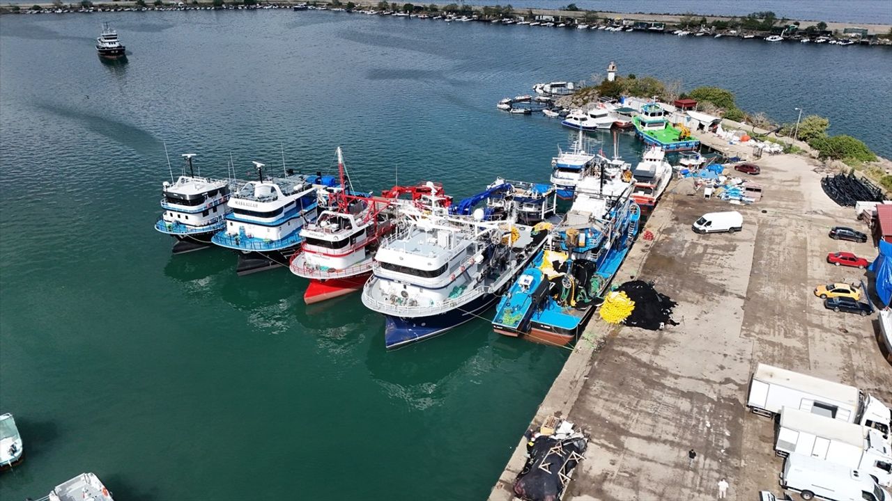 Ordu'da balıkçılar Karadeniz'den bol istavrit avıyla kıyıya döndü