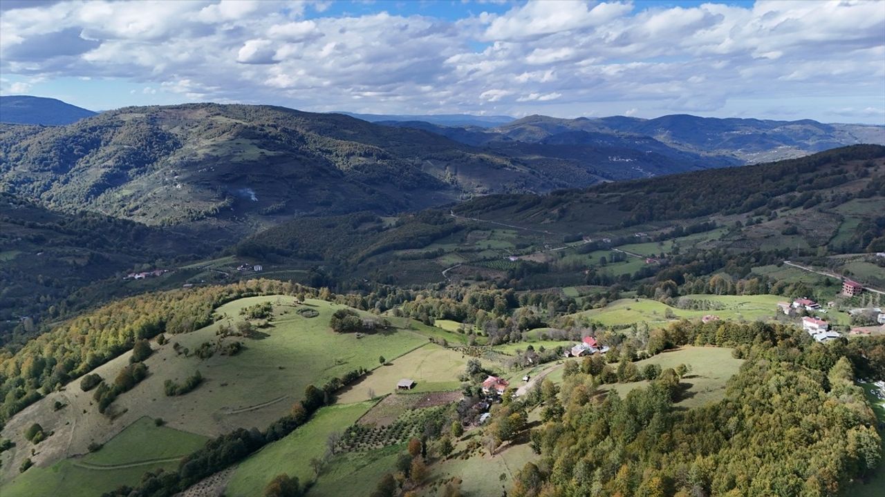 Ordu'da Uluvahta Yaylası: 1500 rakımda doğa, altyapı çalışmaları ve ziyaretçi hareketliliği