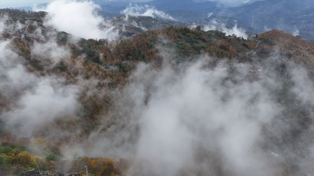 Ordu'nun yüksek kesimlerinde sis, Ulubey ormanlarını sonbahar renkleriyle buluşturdu