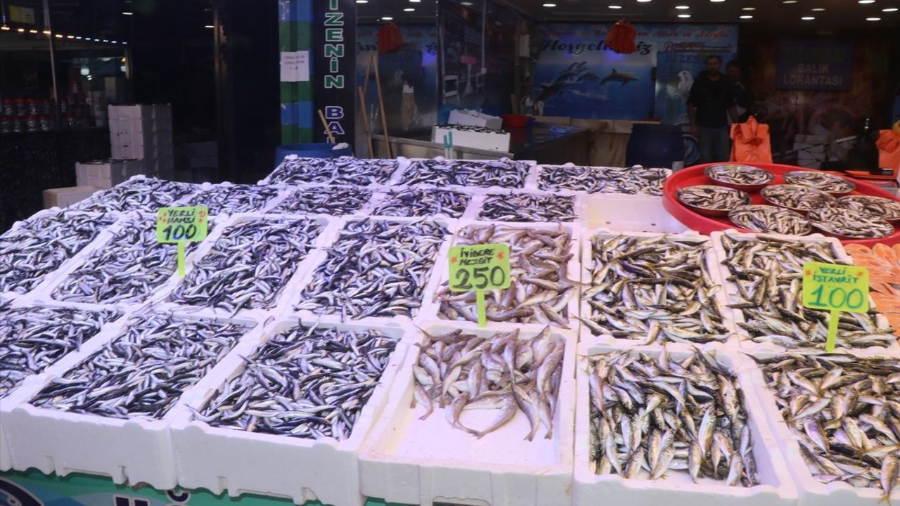 Rize'de hamsi bolluğu: hamsi 100 TL/kg, mezgit 250 TL, istavrit 100 TL