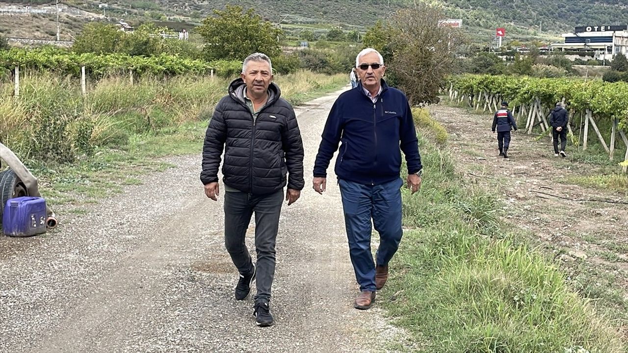 Sakarya Pamukova'da üzüm üreticileri jandarma ile bahçede nöbette
