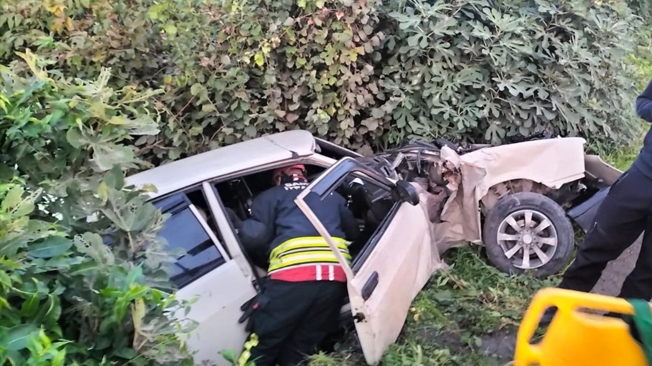 Samsun Çarşamba'da ağaçlık alana düşen otomobilde iki kişi ağır yaralandı