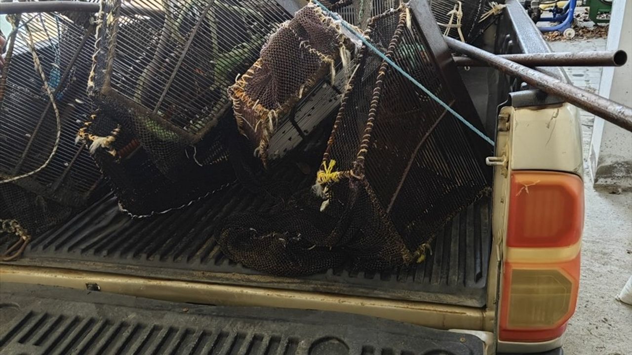 Samsun'da Kaçak Avlanan 1 Ton Kum Midyesi Ele Geçirildi