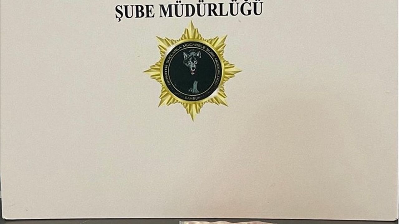 Samsun'da narkotik operasyonunda 10 kişi gözaltına alındı